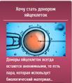 Особенности договора о суррогатном материнстве