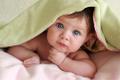 Суррогатное материнство - Surrogate motherhood